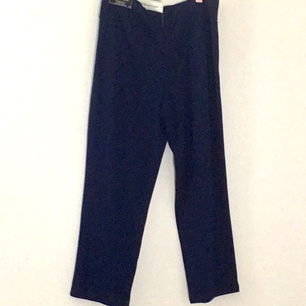 Plus Size, Classic Pull on Pants. Business/Casual.